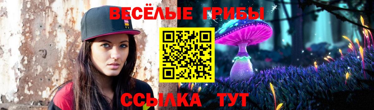 купить наркоту  Галлюциногенные грибы Psilocybe  Вход с VPN  Симферополь 
